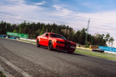 DSC6808