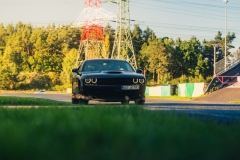 DSC2352