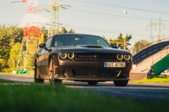 DSC2355