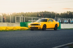 DSC2366